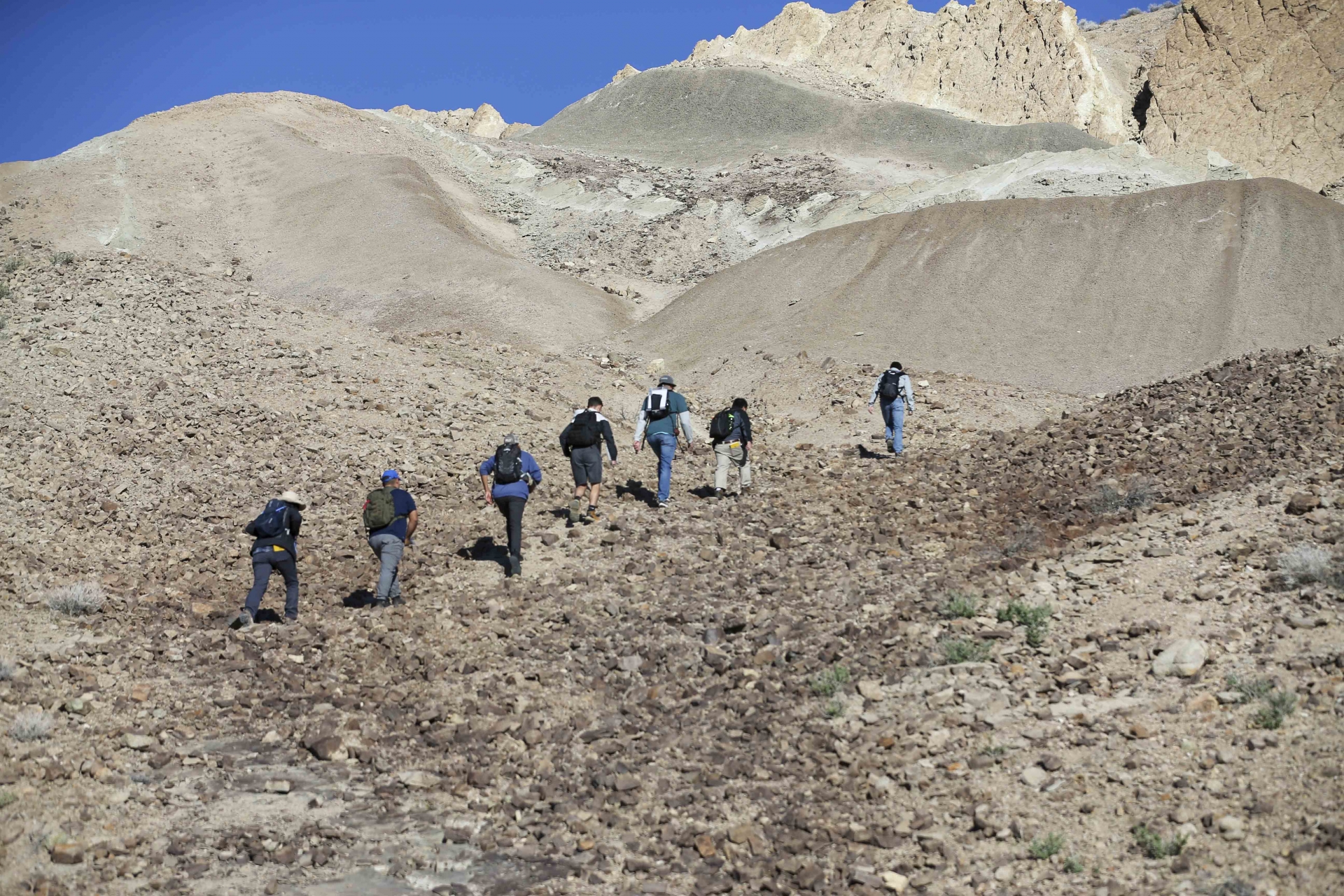 CSUSB geological sciences students out in the field.