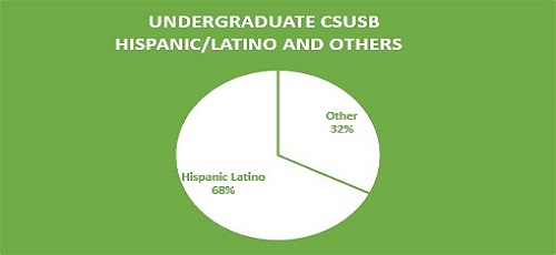 FIGURE 2 Percentages of Undergraduate students in the college: Hispanic/Latino v Others