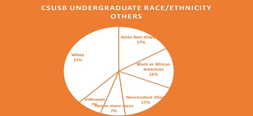 FIGURE 6: Undergraduate Race/Ethnicity distribution in CSUSB