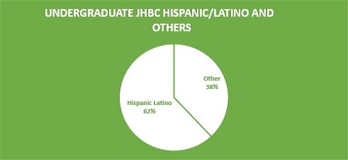 FIGURE 1: Percentages of Undergraduate students in the college: Hispanic/Latino v Others