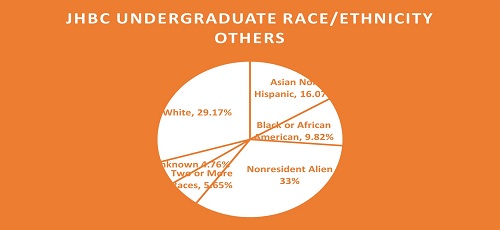 FIGURE 5: Undergraduate Race/Ethnicity distribution in the JHBC