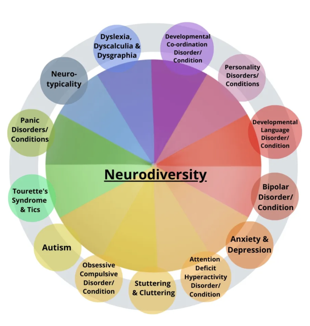 neurodiversity wheel including: Dyslexia, dyscalculia, dysgraphia, developmental co-ordination disorder/condition, developmental language disorder/condition, bipolar disorder/condition, Anxiety and depression, attention deficit  hyperactivity disorder/condition, stuttering and cluttering, obsessive compulsive disorder/condition, autism, tourette's syndrome and tics, panic disorders/conditions, neuro-typicality