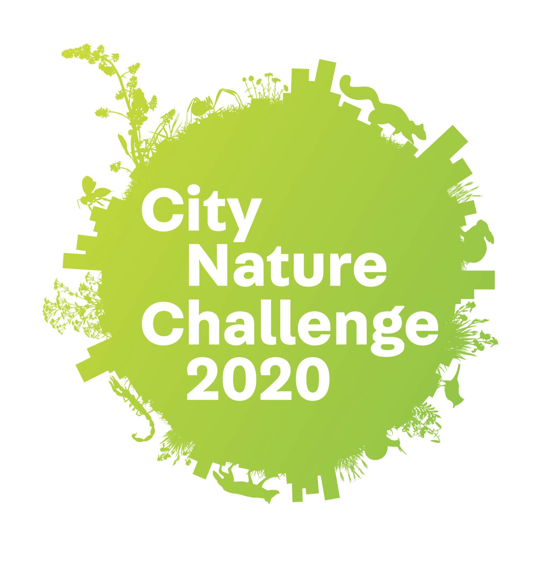 IE to participate for the first time in the City Nature Challenge