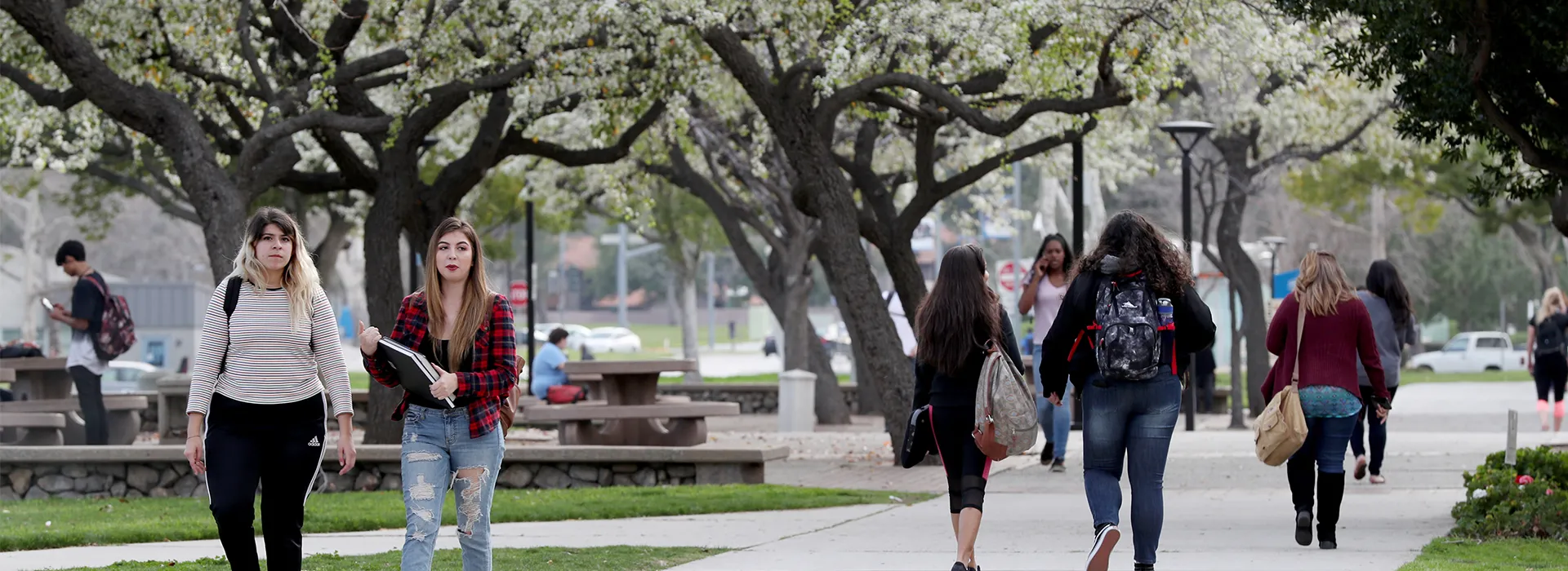 CSUSB Listed In U.S. News & World Report’s Best Online Programs ...