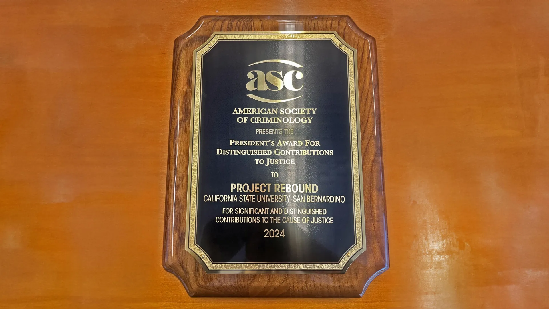 The California State University’s Project Rebound, which includes a program at Cal State San Bernardino, is the 2024 recipient of the American Society of Criminology’s President’s Award for Distinguished Contributions.