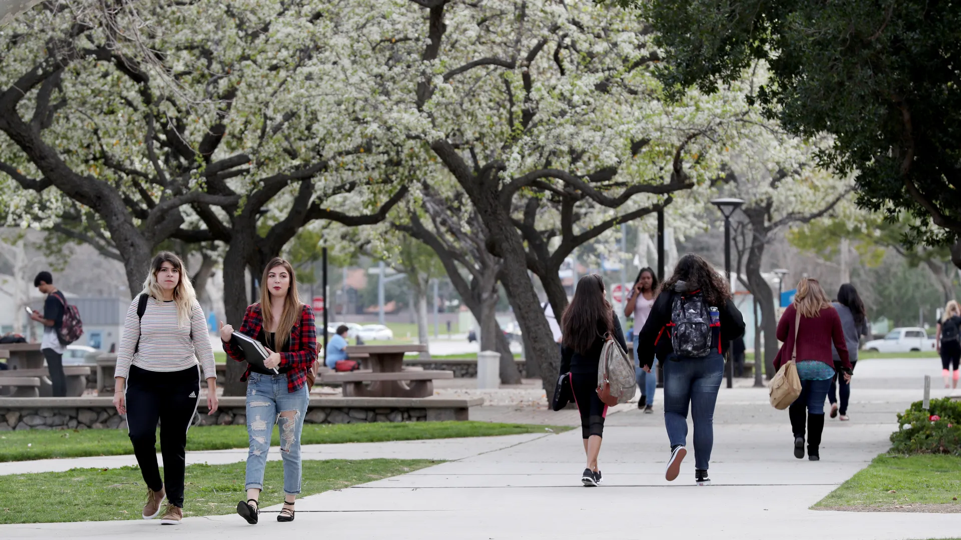 Students walking on CSUSB campus