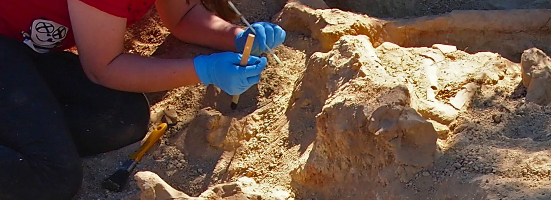 paleontology dig in New Mexico