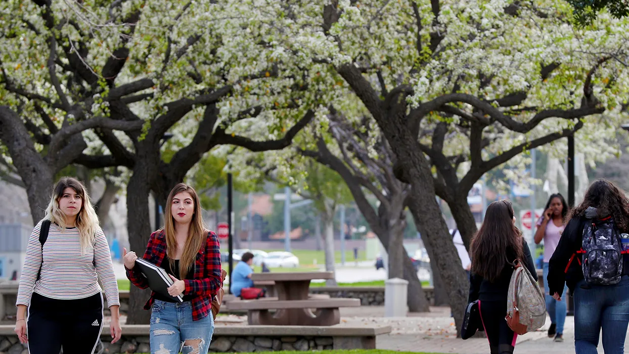 Arbor Day Foundation has named CSUSB to its Tree Campus USA program