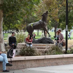 CSUSB was honored on Nov. 16 during the virtual Champions of Higher Education for Excellence Transfer Awards ceremony.