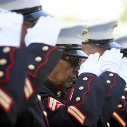 Veterans saluting