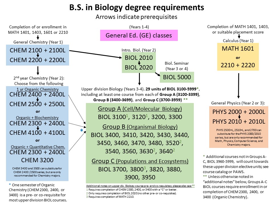 Biology BS major flowchart of courses for degree completion