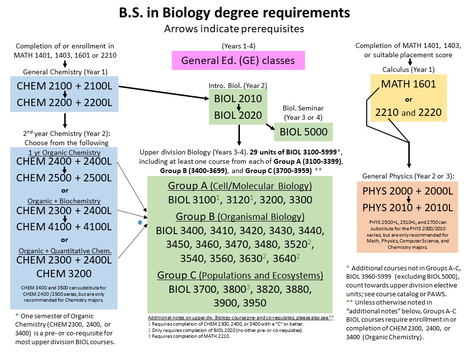 Biology BS major flowchart of courses for degree completion