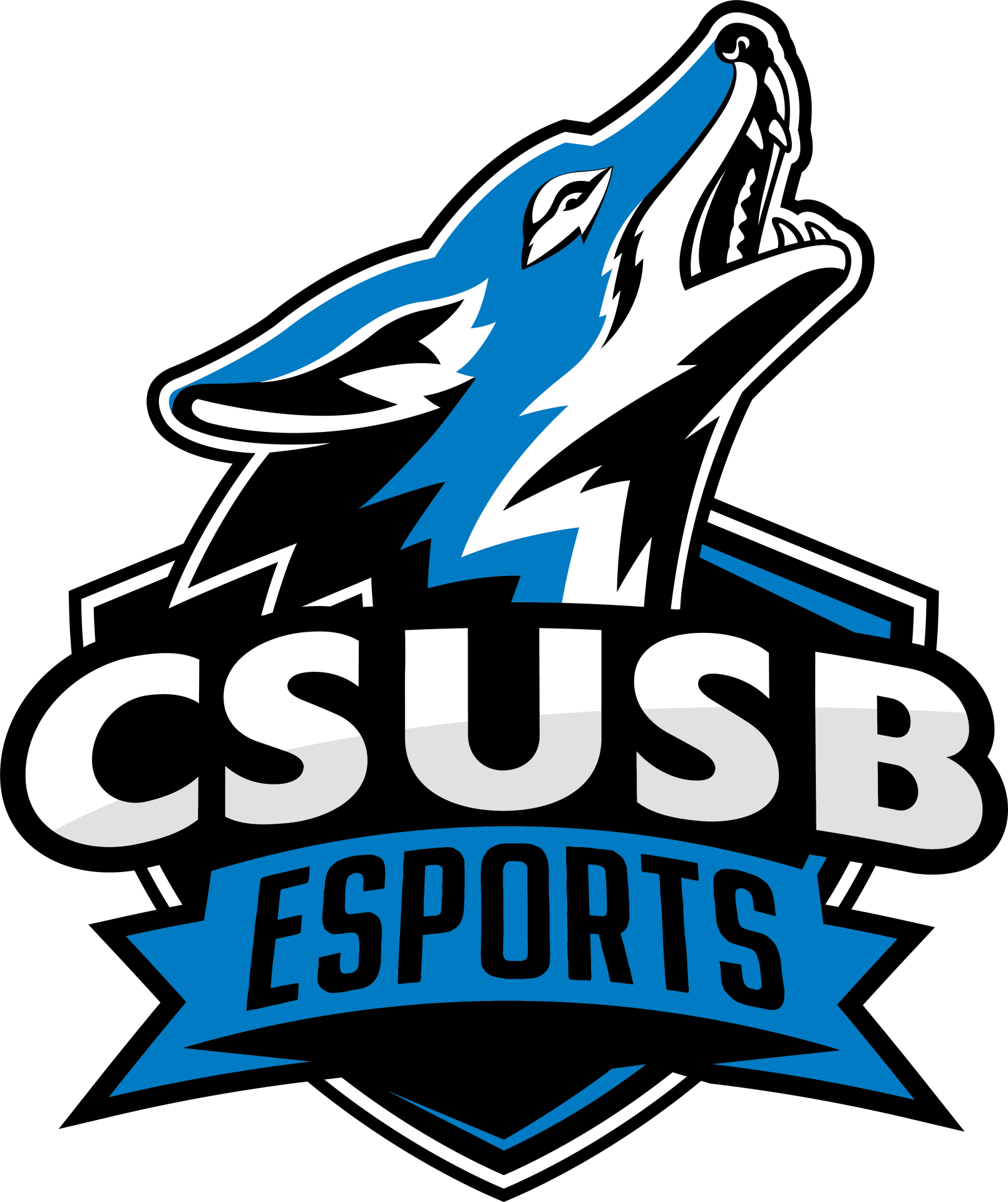 CSUSB Esports