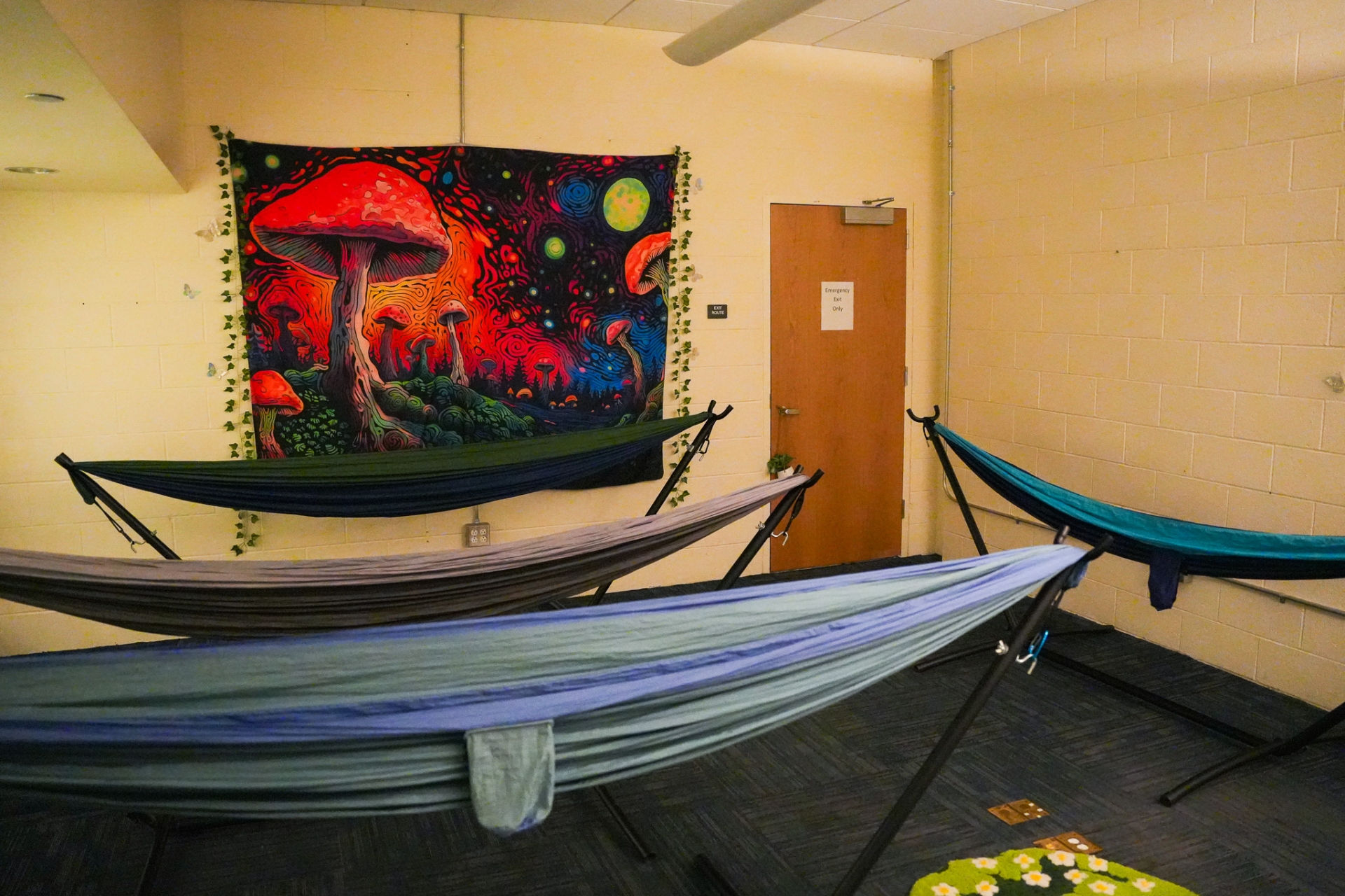 Hammock room