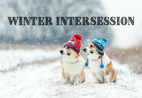 Winter Intersession