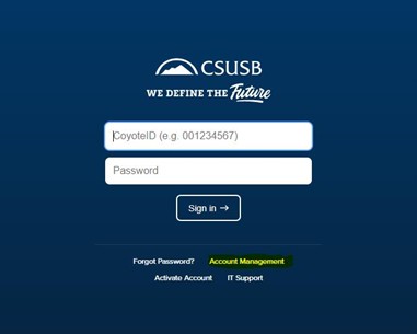 SSO login page