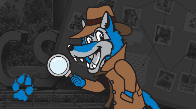 Cody the Coyote on the case image