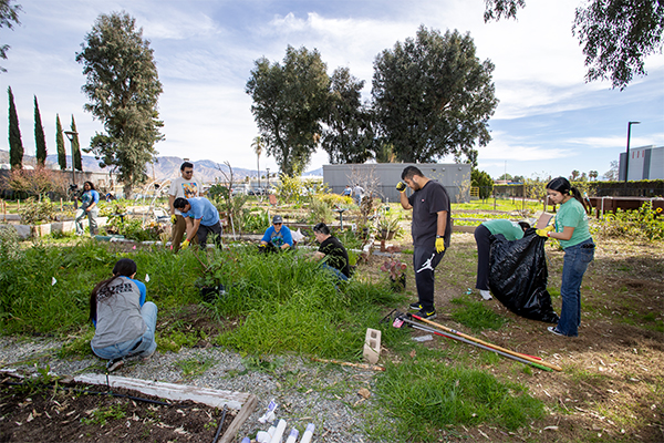 Coyote Cares Day photo