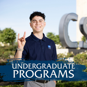 Undergraduate Programs