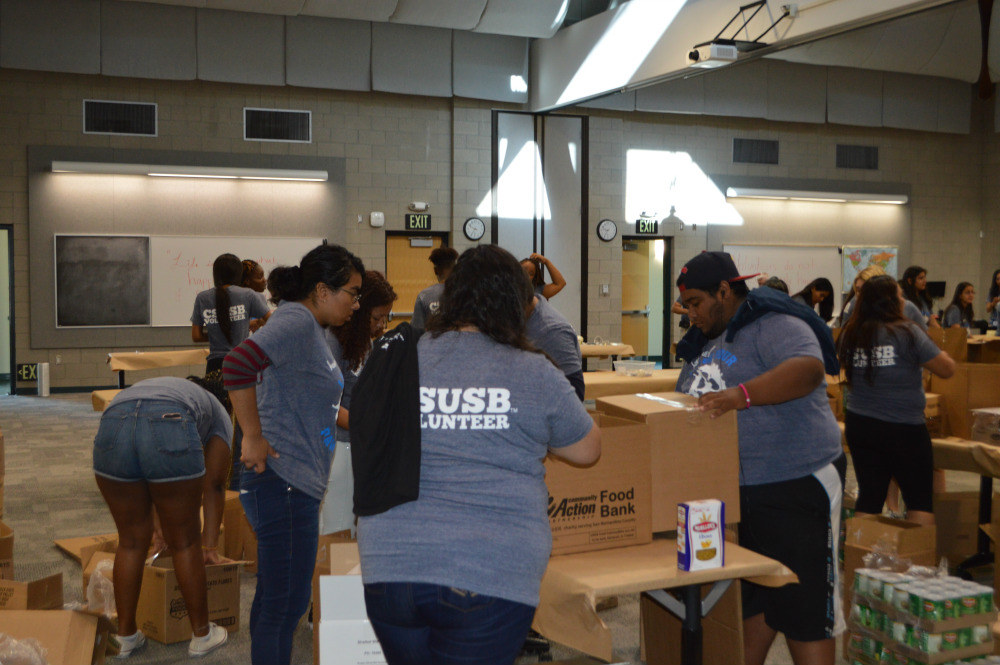 Make A Difference Day 2016 Gallery 4