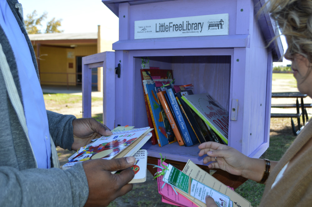 Little Libraries - Nov 2016 Gallery 3