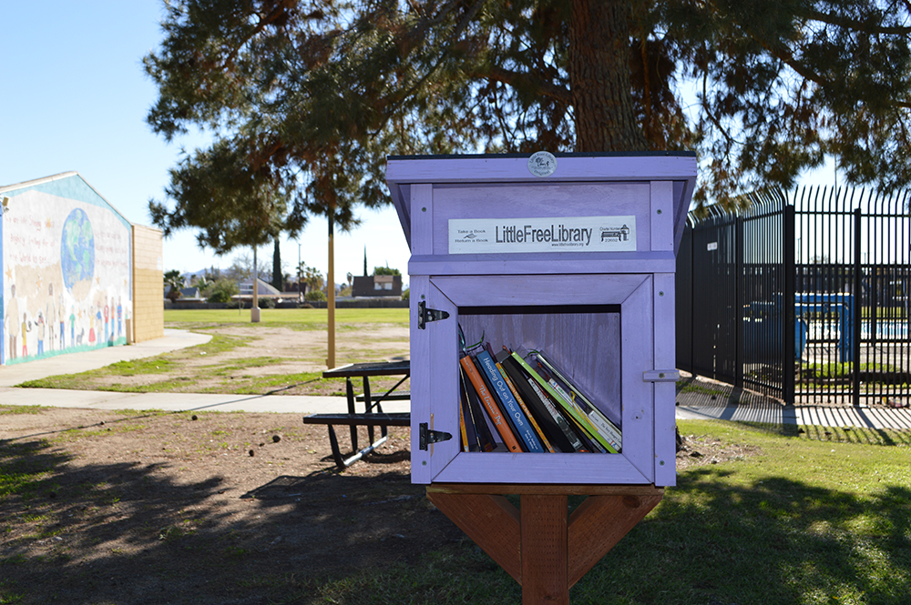 Little Library - November 2016 Gallery 1