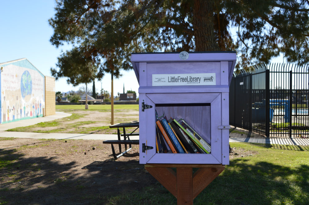 Little Libraries - Nov 2016 Gallery 5