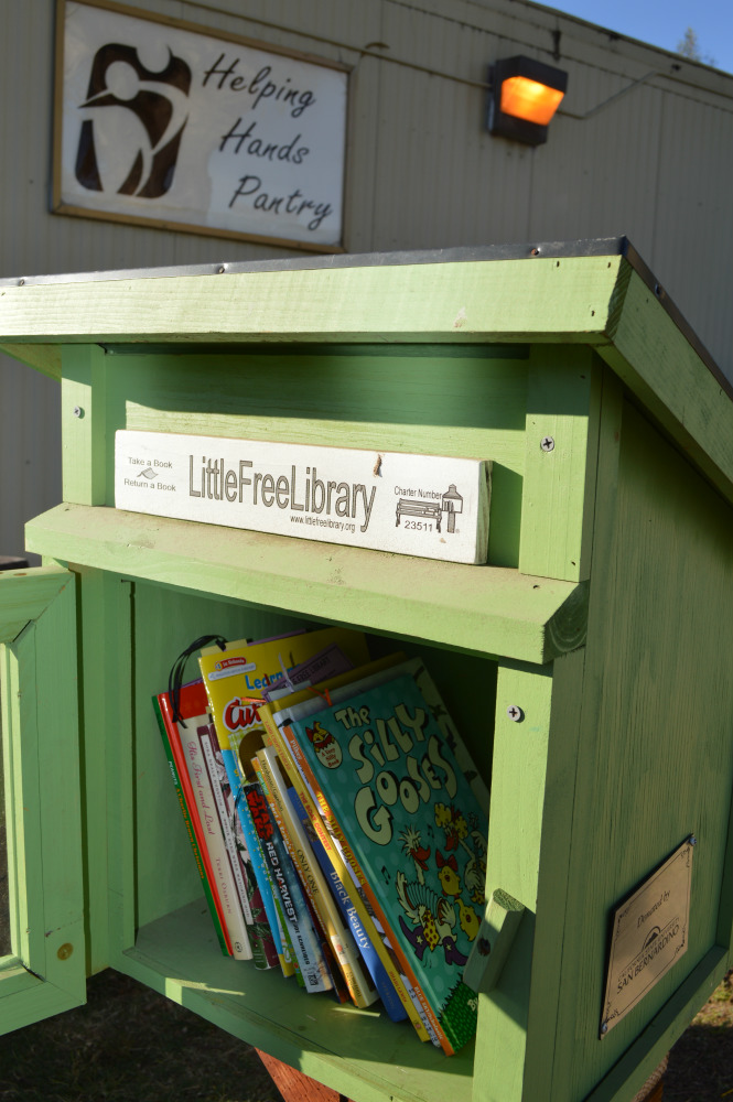 Little Libraries - Nov 2016 Gallery 8