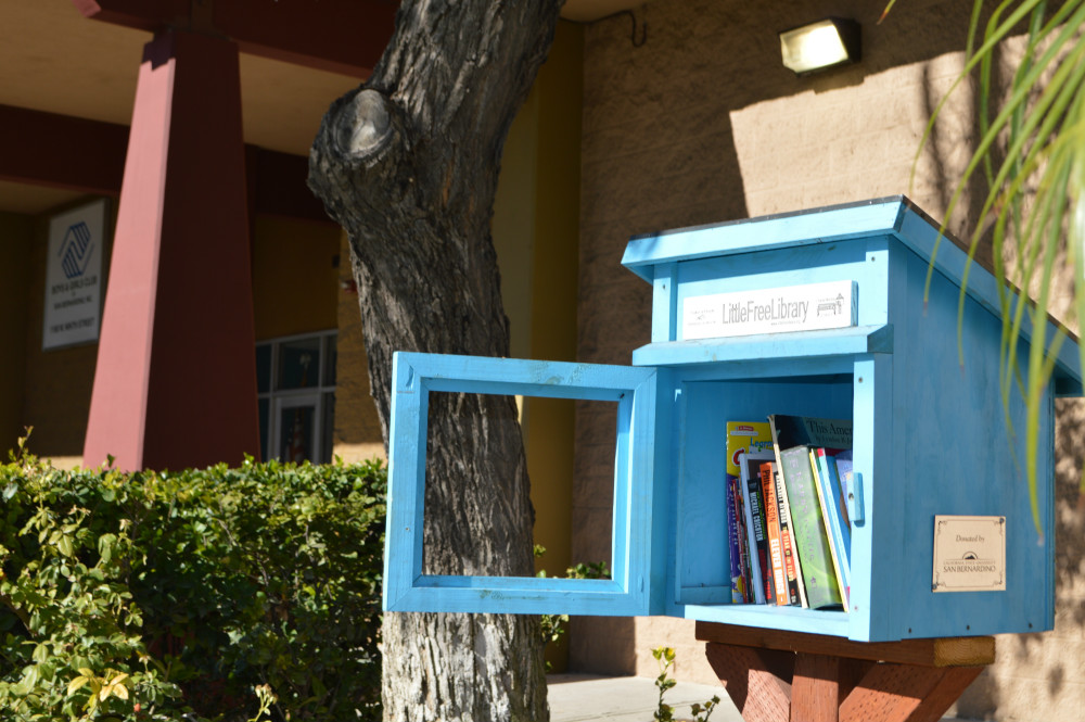 Little Libraries - Nov 2016 Gallery 7