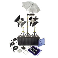 Elemental Lighting Kit TO-983Z with 83 Case